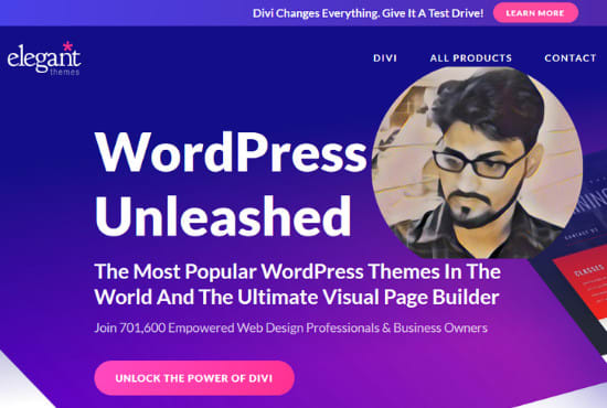 design and customization wordpress website using elegant themes
