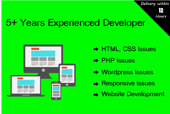 give you wordpress help and fix website errors quickly