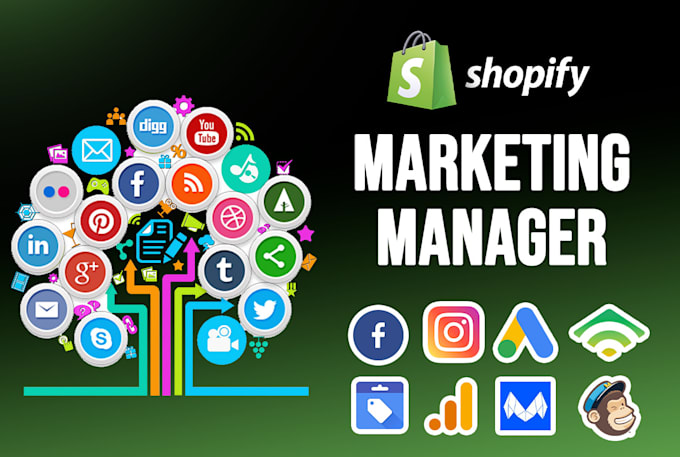 be your shopify store marketing expert to drive traffic and boost sale
