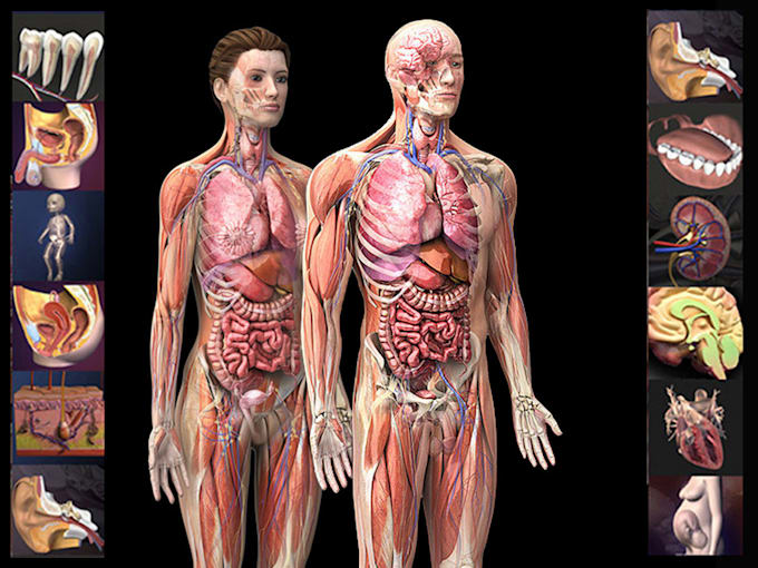 help with quizzes, exams and assignments for medical school