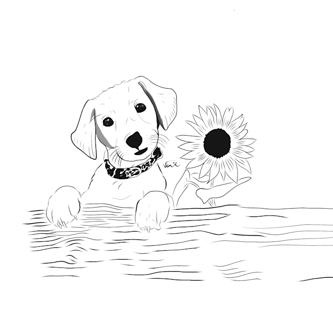 Best Deals! I will do amazing line art illustration of anything