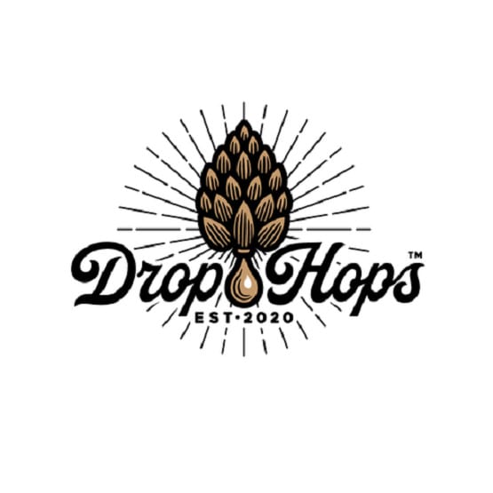 design a hipster logo in 1 day