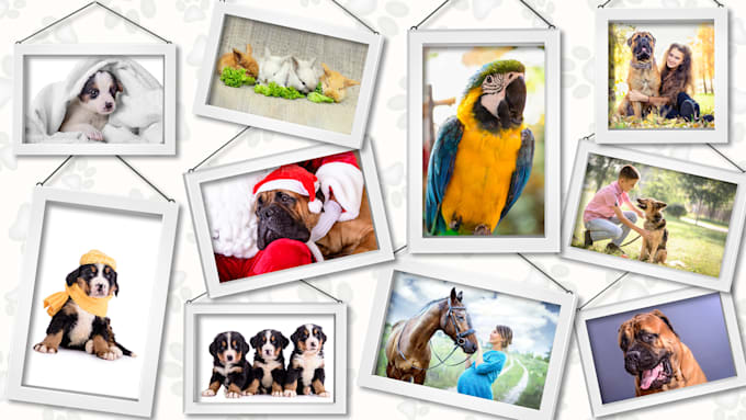 do your pet photo retouching and pet portrait editing in photoshop professional