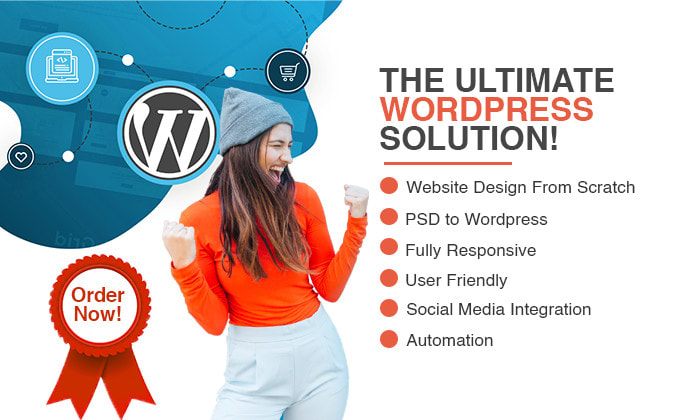 design a professional and SEO optimized wordpress website