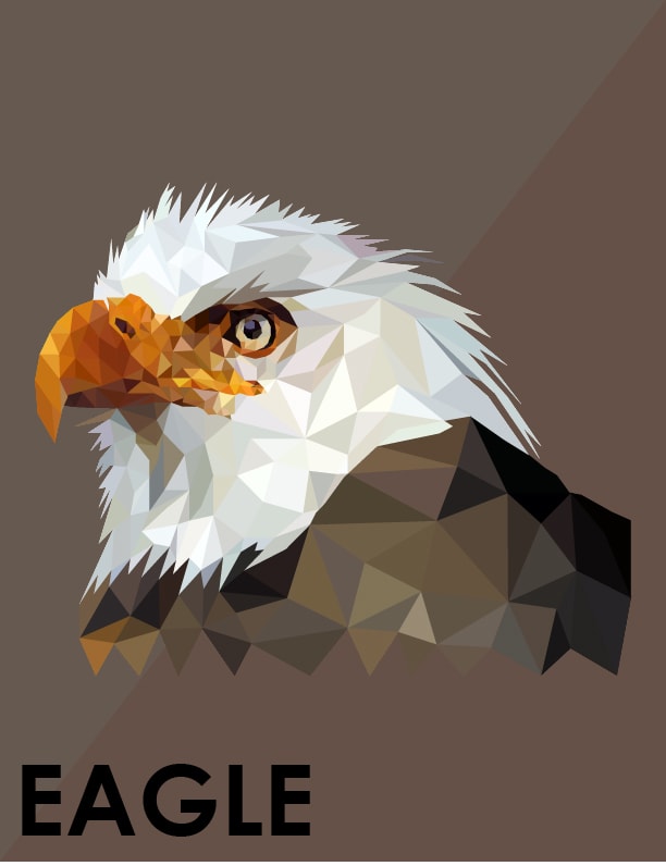 make any object into low poly illustration within 24 hr