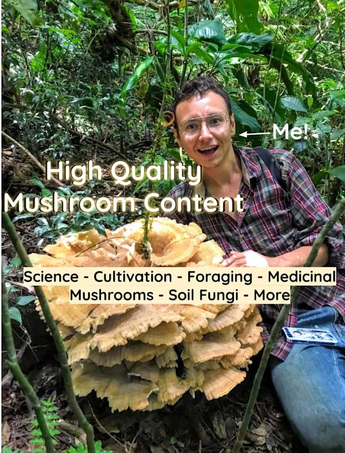 write high quality mushroom content