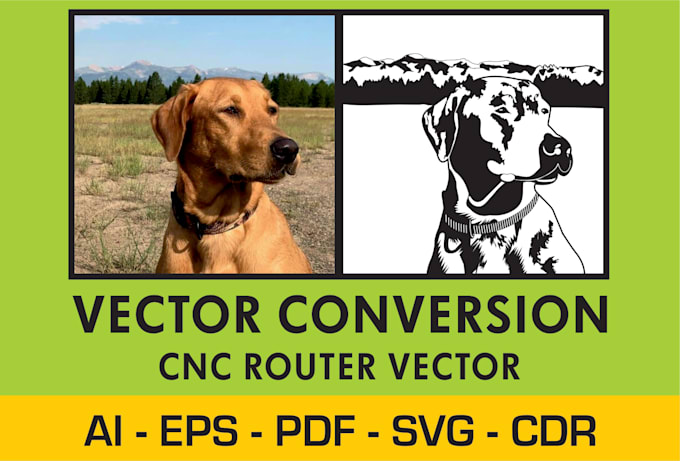 do vector tracing, vector conversion convert image in svg, ai, pdf, eps, cdr