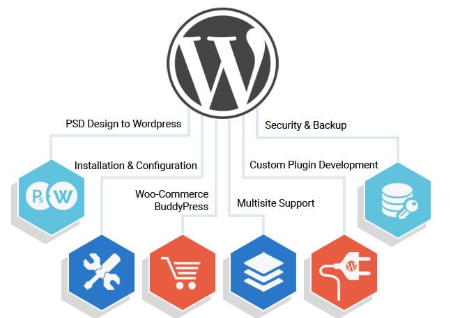 give wordpress related any service
