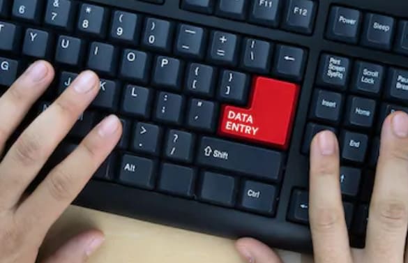 assist you in content writing and data entry