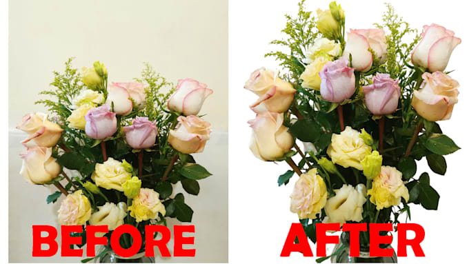 remove background from image in 2 hours