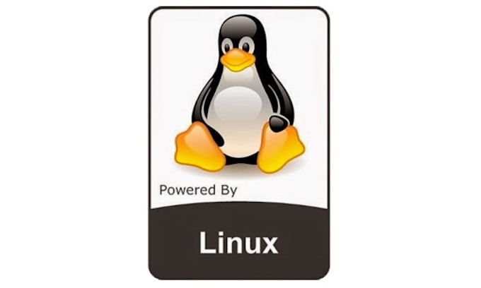 Do any troubleshoot solution for linux server side by Jasujasin | Fiverr