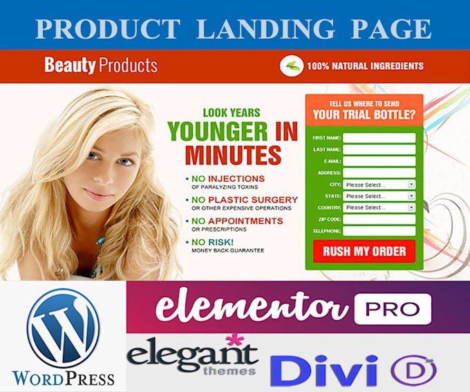 design modern wordpress landing page elementor or elementor landing page design