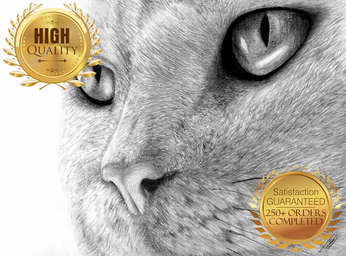 make beautiful realistic illustrations for you