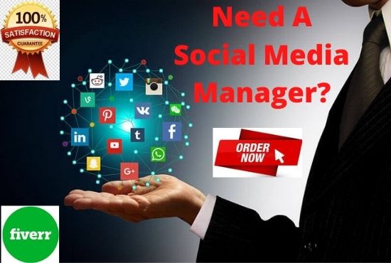 be your professional social media manager and content creator