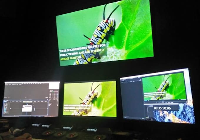 do professional cinematic color grading to your videos