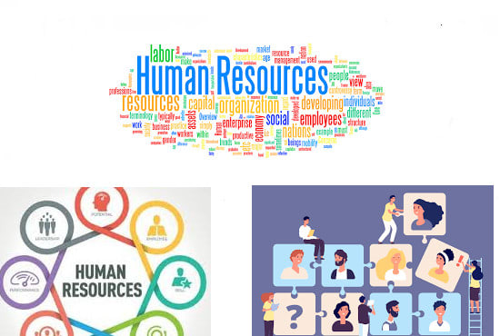I will assist in human resource management