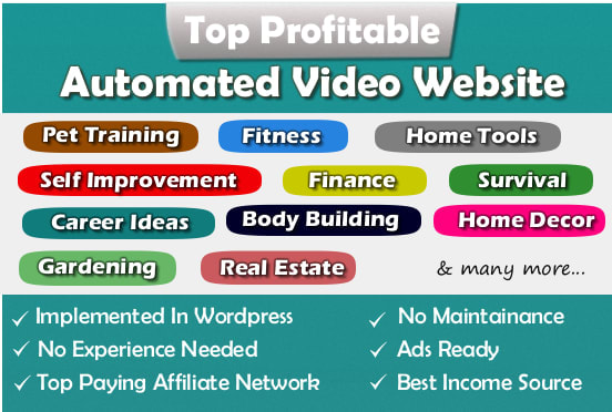 build you a automated website for income source