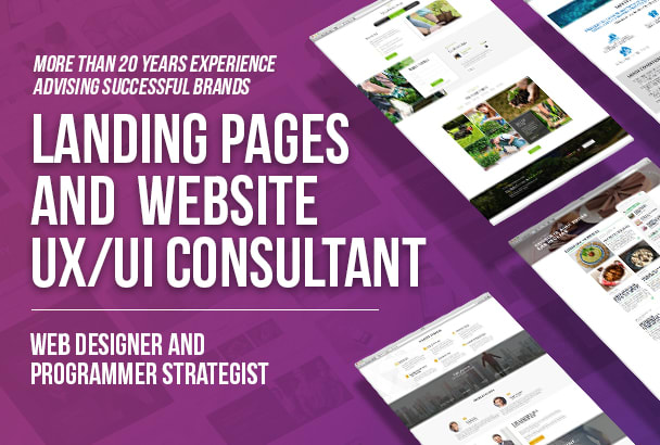 audit your web or landing page