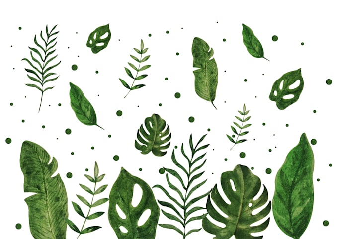 create hand draw watercolor botanical illustration