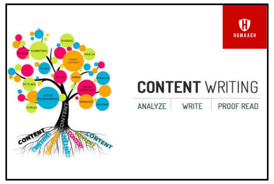 write 1500 words SEO content or blog post in 24 hours