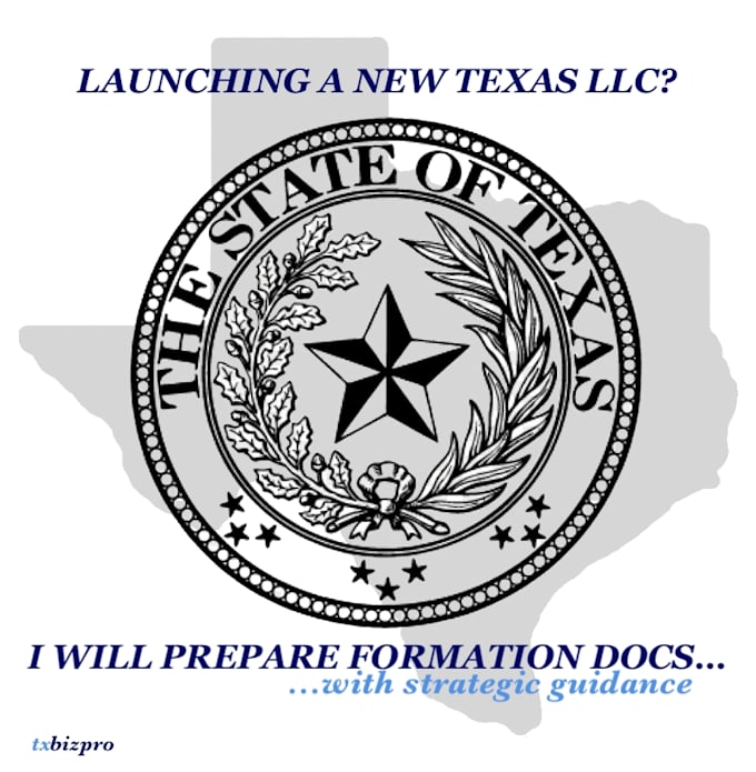 prepare texas llc formation docs with strategic guidance