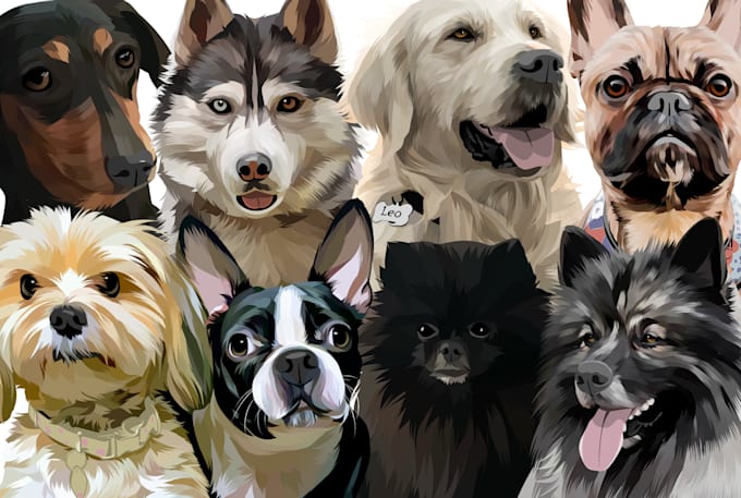 draw pet into vector cartoon portrait