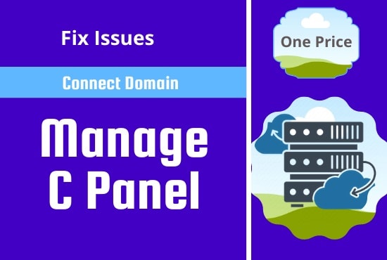 connect the domain to the hosting dns records