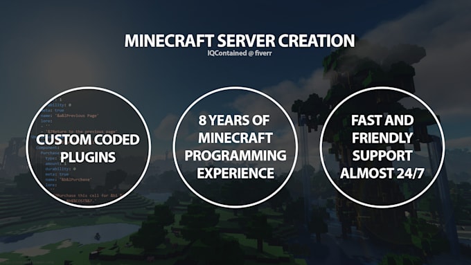 Professionally setup your minecraft server or a website