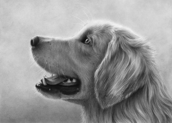 Hand Drawn Pencil Portraits from Photos | Pencil Portrait Drawing | Pencil  Sketch Artists