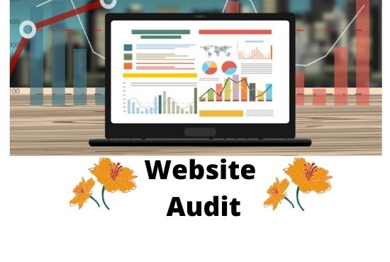 provide website audit report with better resolutions