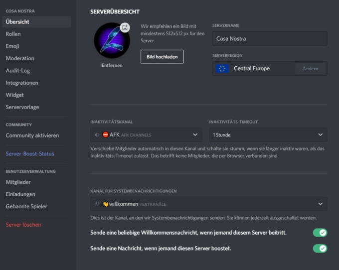 Present you a nice discord server by Schwanni | Fiverr