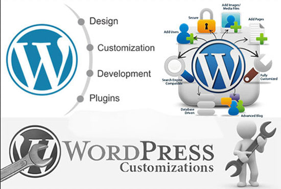 do wordpress theme customization for any business