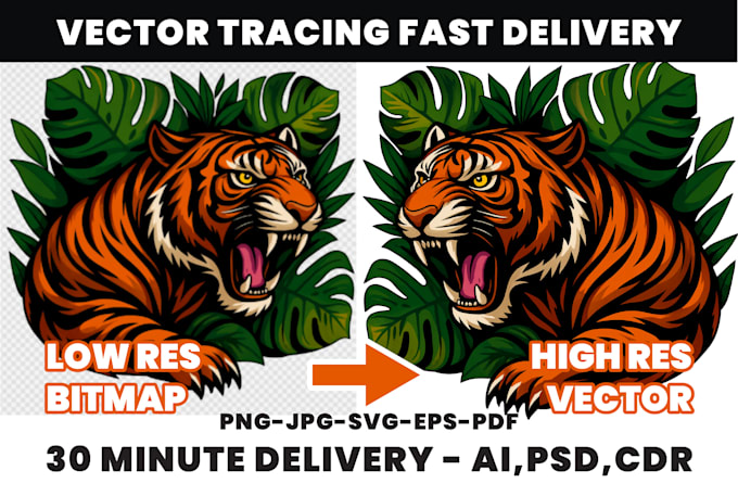 convert any file to vector, redraw, vectorize in 10 minute
