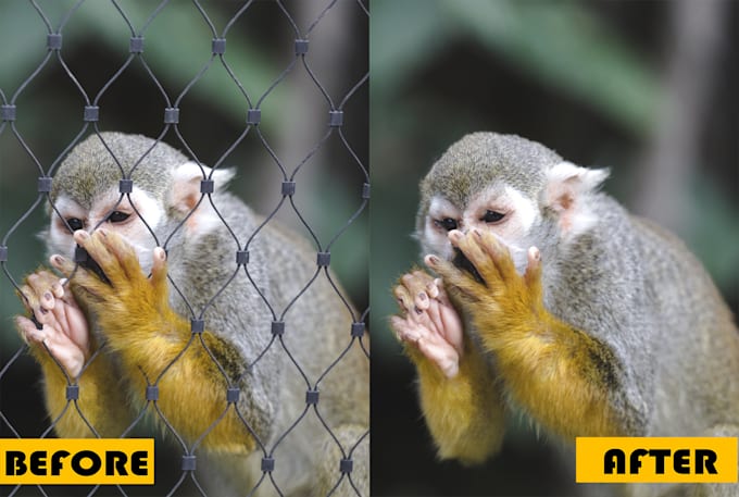 remove fences obstructing on your photo
