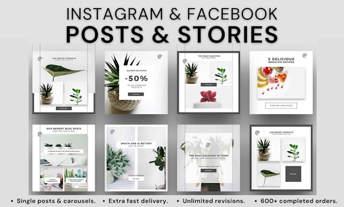 be your instagram content creator for 30 instagram posts