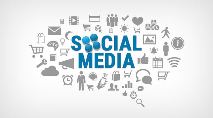 manage and optimize your facebook and shopify ads compaign