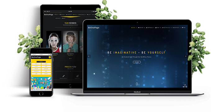 create responsive wordpress website design and ecommerce website