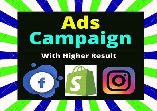 setup and run facebook ads campaign for dropshipping