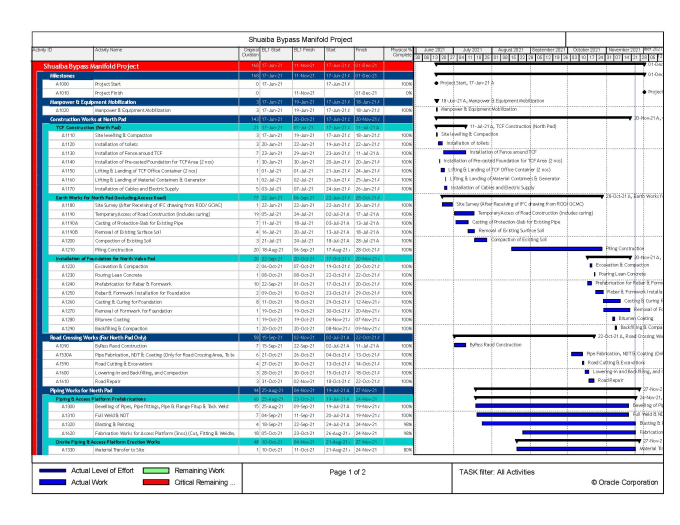 Provide project schedule using primavera p6 and ms project by ...