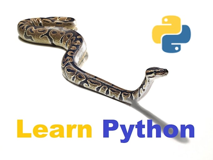 Teach you python programming from basics to advanced level by Usman ...