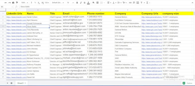 be your virtual assistant for data entry, lead generation, and web scraping