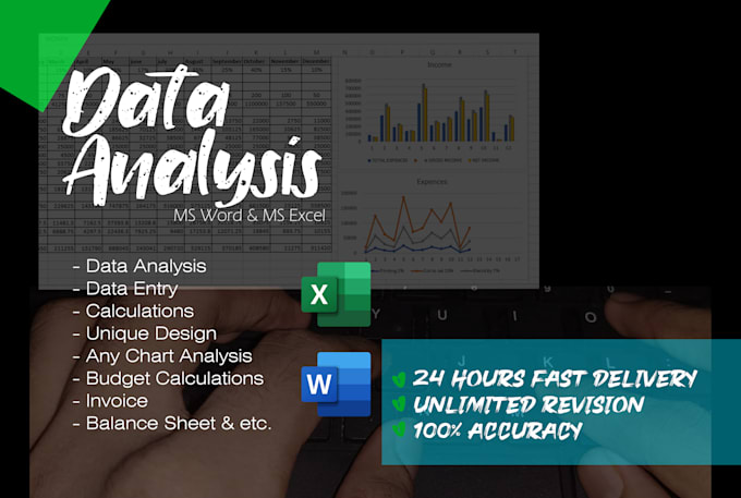 do data entry and analysis in ms excel and word