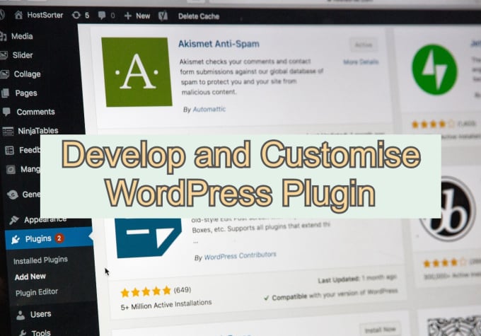 develop and config wordpress plugin