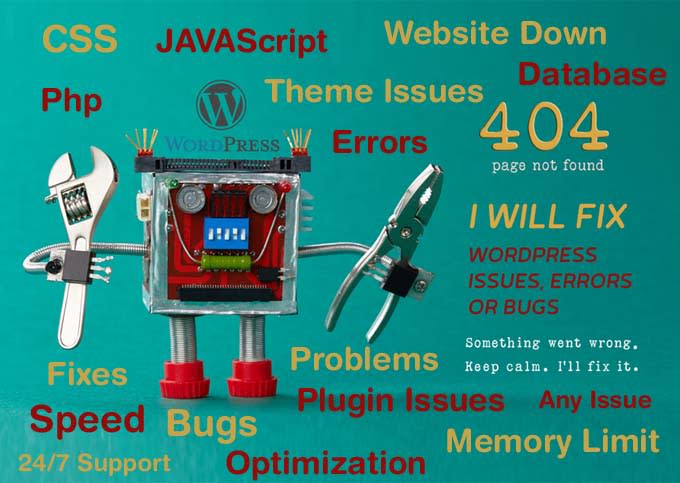 fix wordpress issues, error, or bug super fast