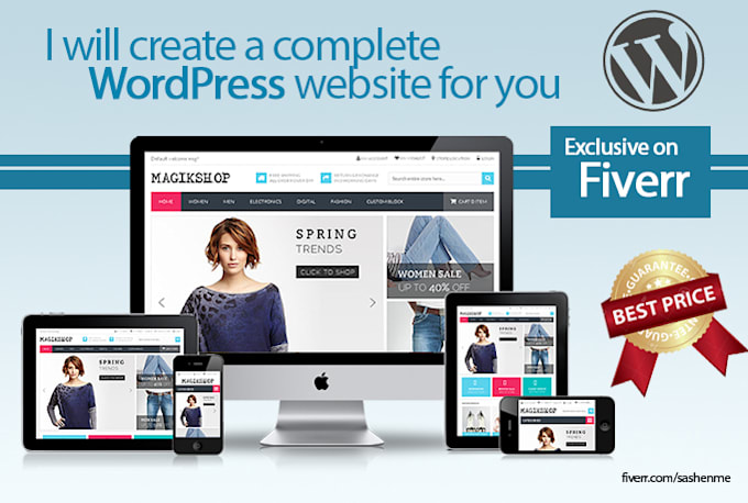 make a complete wordpress website for you