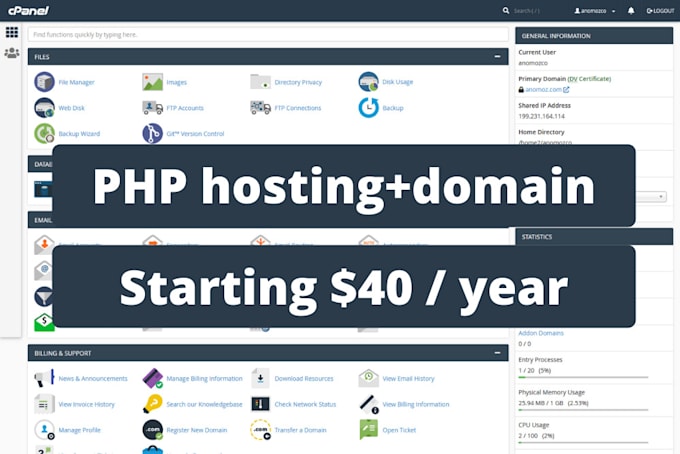 provide you cheap PHP hosting with custom domain