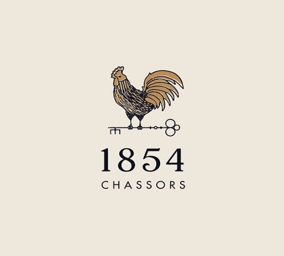 design sophisticated logo in 1 day