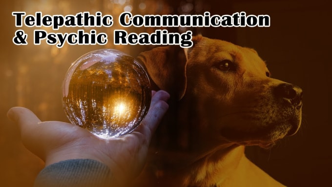 offer pet psychic reading