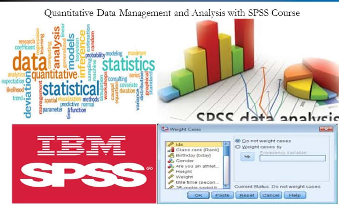 Do statistical analysis in spss,stata and r by Faithguru