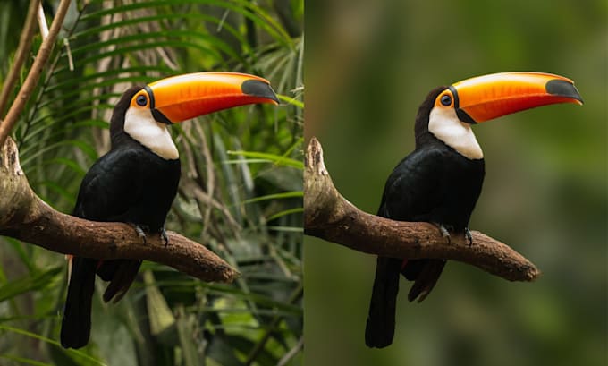 add motion blur effect in photo to make it stand out